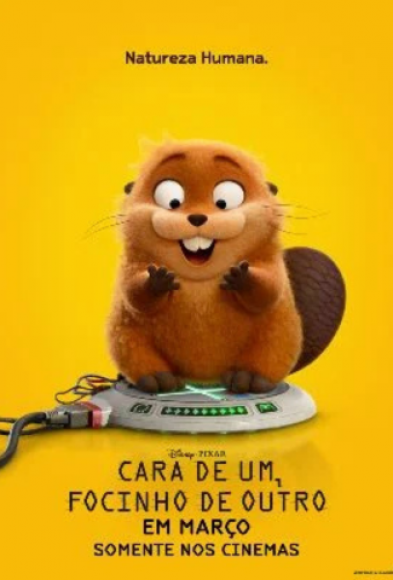 CARA DE UM, FOCINHO DE OUTRO